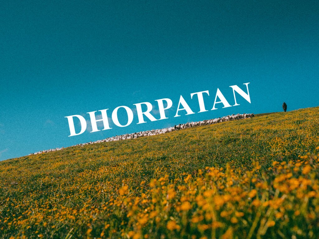 mountain, sheep, landscape