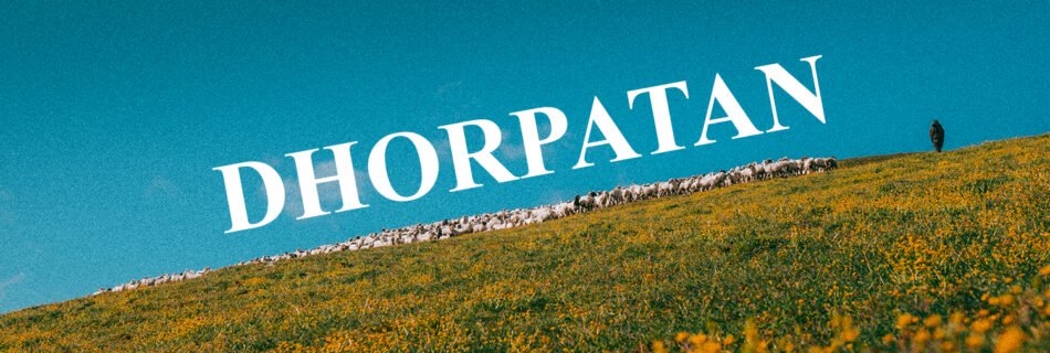 mountain, sheep, landscape
